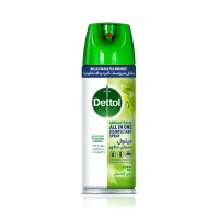 Dettol Disinfectant Spray - Morning Dew