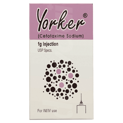 Yorker