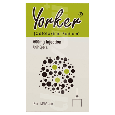 Yorker